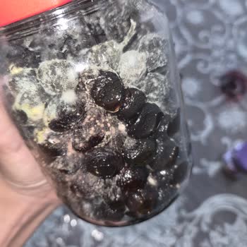 Küflü Zeytin Ve İade Talebime Yanıt Gelmedi