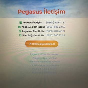 Pegasus Bilet İptali İçin Sahte Ataşehir Doğa Turizm Sitesi 1.000 TL Çekti, İade Reddedildi