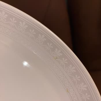 Karaca'dan Alınan Yemek Takımında Çok Sayıda Lekeli Tabak Ve Yetersiz Çözüm