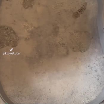 Yasomi Otomatik Kedi Tuvaleti Pişmanlıktır!