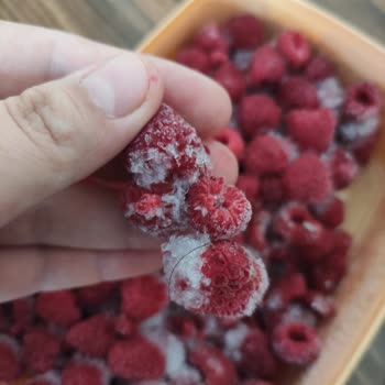 Feast Dondurulmuş Frambuaz Ürünün İçinde Kıl Bulunması Gıda Güvenliği İhbarı
