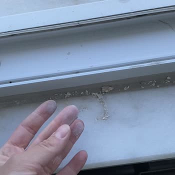 Temizlik Şirketinin Vandalizmi Ve Maddi Tazmin İhmalı