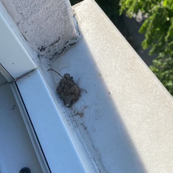 Temizlik Şirketinin Vandalizmi Ve Maddi Tazmin İhmalı