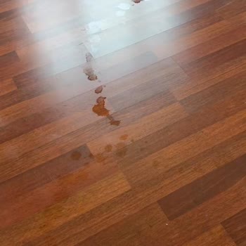 Temizlik Şirketinin Vandalizmi Ve Maddi Tazmin İhmalı
