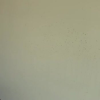 Temizlik Şirketinin Vandalizmi Ve Maddi Tazmin İhmalı
