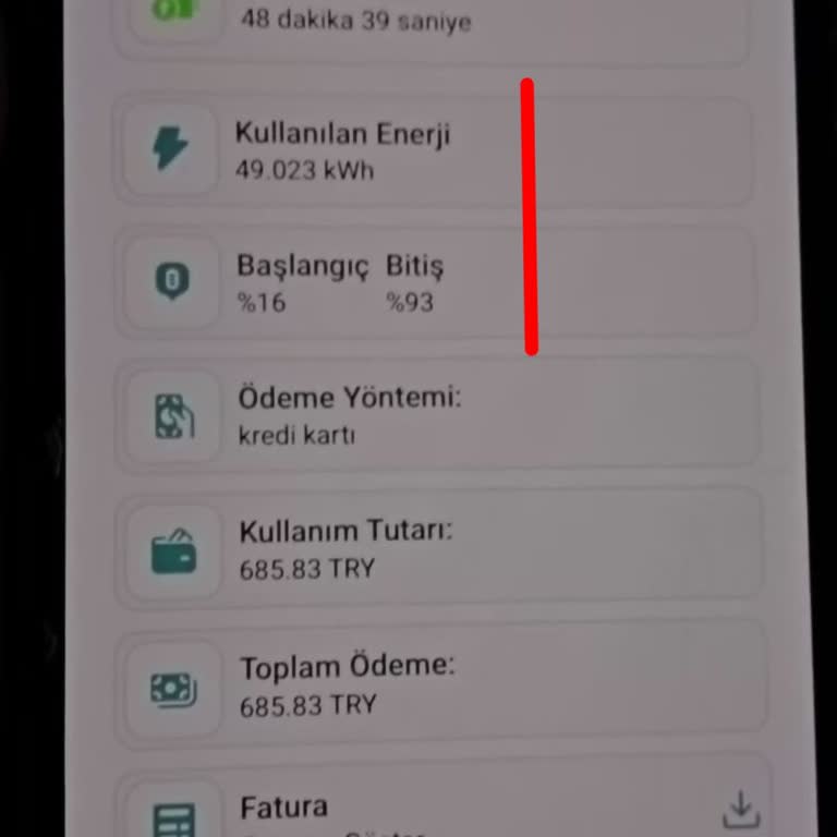 Trugo Şarj İstasyonunda Yetkisiz Ücretlendirme ve Güvenlik Açığı