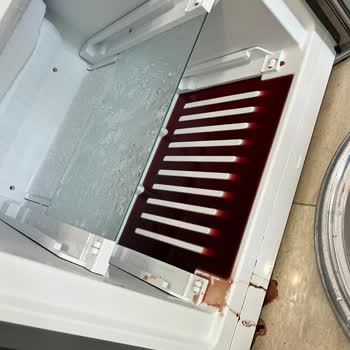 Bosch Dolabın Alt Kapak Kendiliğinden Açılmaktadır