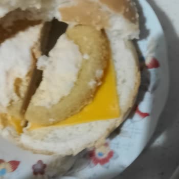 Son Kullanma Tarihi Geçmemiş Tavuk Burgerde Küflenme Ve İade Talebi