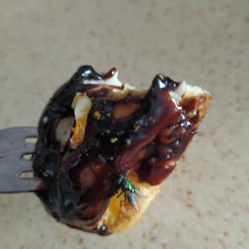 Ekler Pastasındaki Sinek Şikayeti Ve Hijyen Endişesi