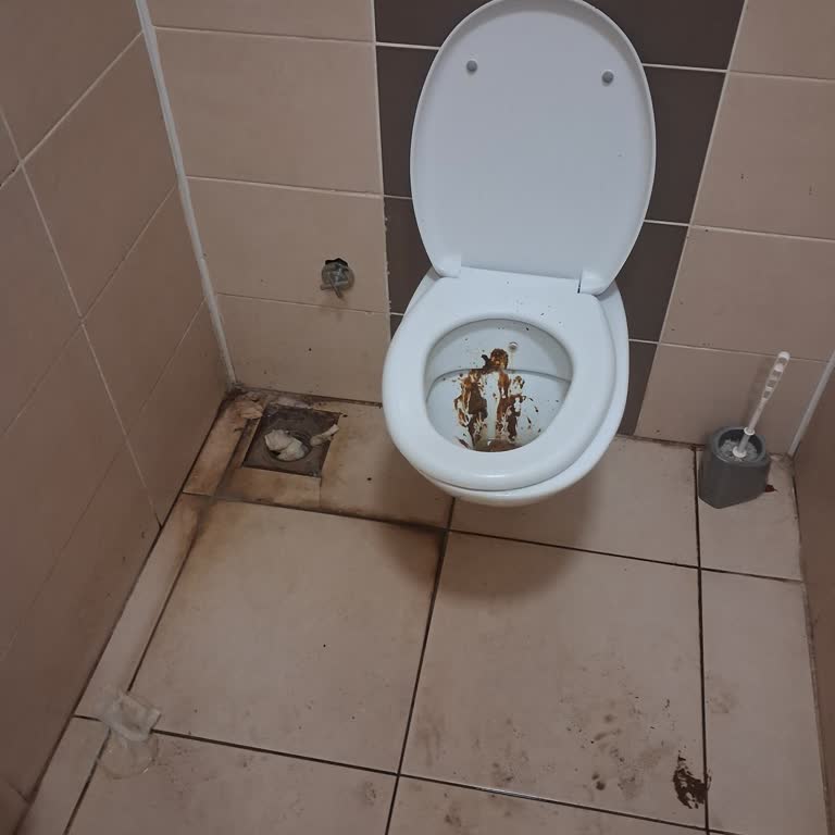 Suruç Devlet Hastanesindeki Tuvaletlerde Hijyen Eksikliği Ve Yoğun Koku