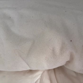 Airbnb Kiralamasında Kirli Villa Ve Böceklerle Dolu Ev, Tam Para İadesi Talebi