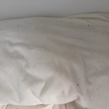 Airbnb Kiralamasında Kirli Villa Ve Böceklerle Dolu Ev, Tam Para İadesi Talebi
