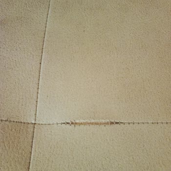 Garanti Süresi İçinde Renk Ağarması Ve Dikiş Problemleri Çözülmedi