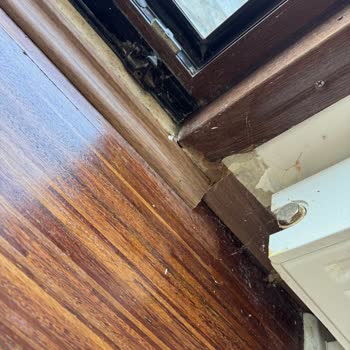 Fiyat Artışı, Personel Eksikliği Ve Eksik Temizlik Sonrası Mağduriyet