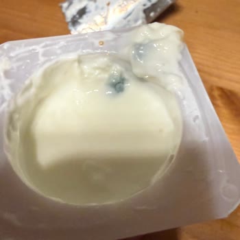 Küflü Bebek Yoğurdu: Sütaş Üretim Hatası Ve Güven İhlali