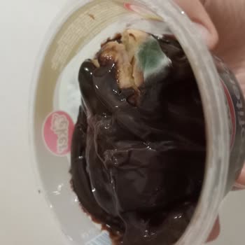 Bursa Kızılcıklı Furpa Şubesinde Profiterol Küflenmiş Olarak Satın Alındı