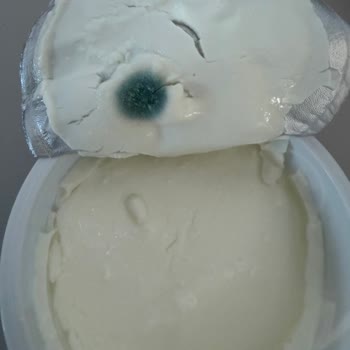 Küflü Sek Quark Protein Ürünü: Sağlık Ve Hijyen Endişesi