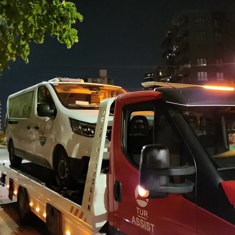 Arızalı Renault Araçlar Ve Uzun Servis Süreleri, İkame Araç Desteği Talebi