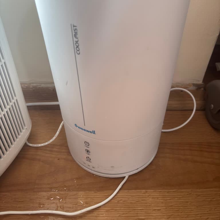 Weewell WSB 640 Buhar Makinesinde Alt Kısmından Su Sızması Ve Onarım Talebi
