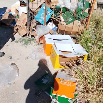 A101 Çandır Şubesindeki Çöp Atma Ve Çevre Kirliliği Sorunu