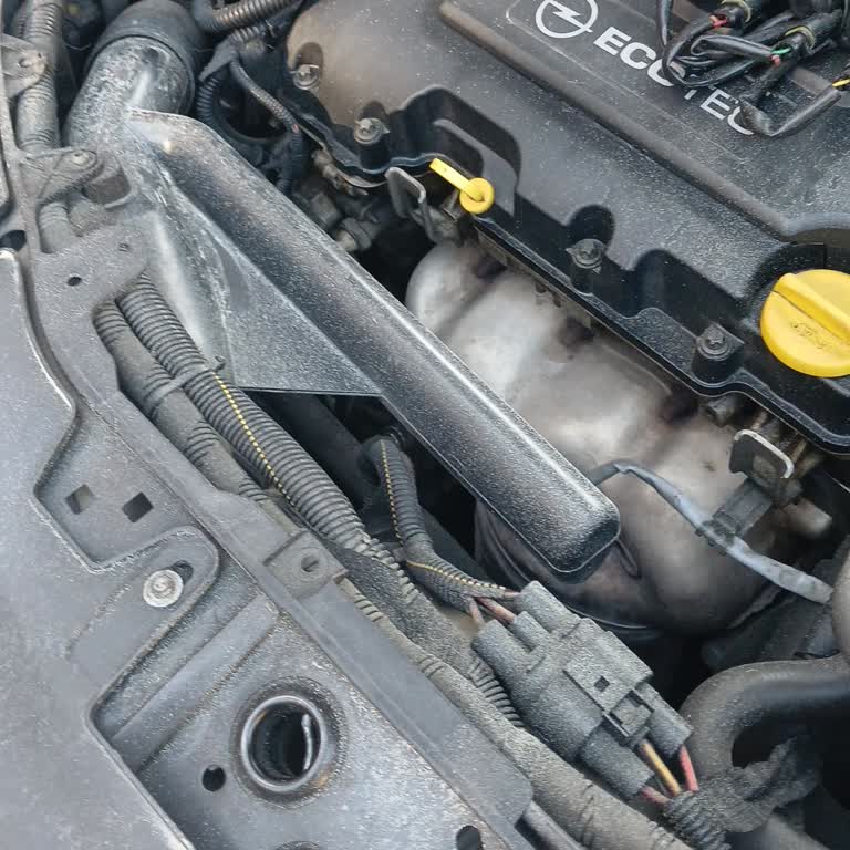 Ekspertiz Hatası Sonrası Motor Hasarı Ve Şube İlgisizliği
