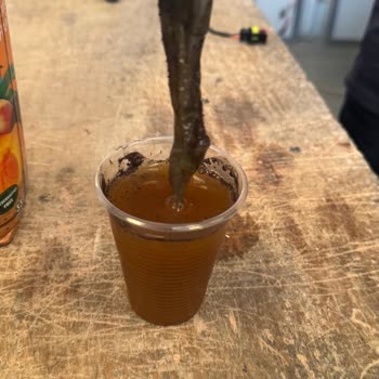 Aroma Şeftali Suyunda Yabancı Madde Tespiti