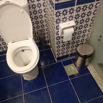 Tatilsepeti Mısır Turunda Otel Hijyen Sorunu Ve Çözüm Talebi