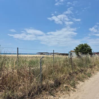 Altunhan Beach İşletmesinin Sahili Kapatarak Halkın Ücretsiz Erişimini Engellemesi Ve Çevreye Zarar