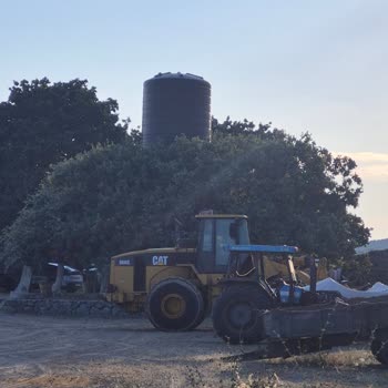 Altunhan Beach İşletmesinin Sahili Kapatarak Halkın Ücretsiz Erişimini Engellemesi Ve Çevreye Zarar