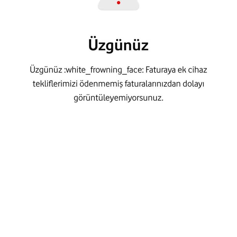 Ödemelerim Zamanında Olmasına Rağmen Flex Bölümüne Erişemiyorum