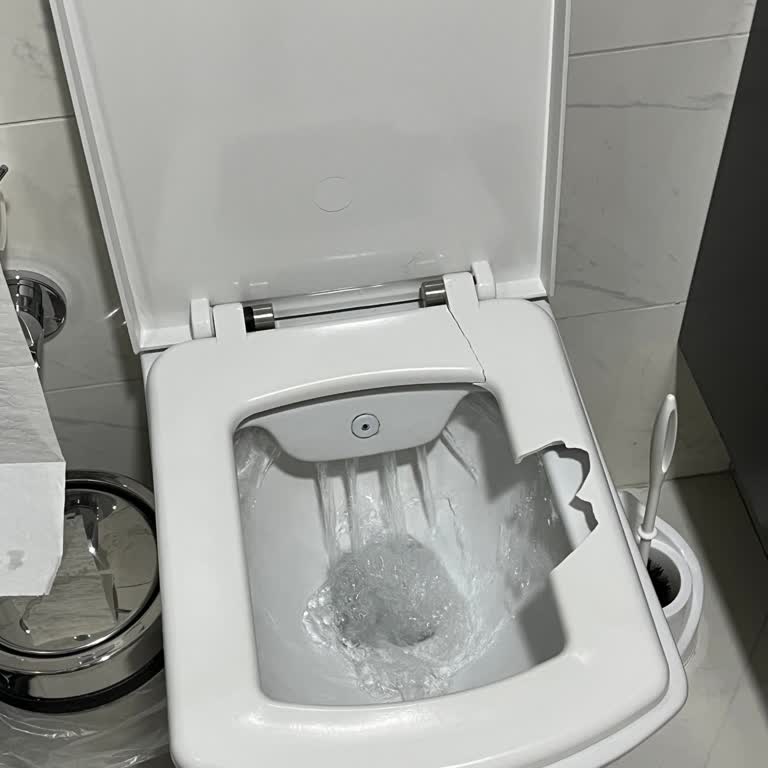 Uyumsuz Klozet Kapağı İçin Acil Destek Talebi