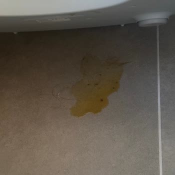 14.624 TL Değerindeki Akıllı Kedi Tuvaletinde Sızıntı Ve İade Talebi