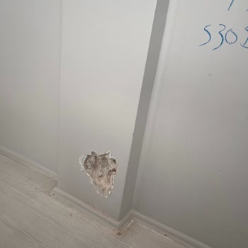 Montun Mühendislik Evimi Endişe Duymadan Kullanamıyorum