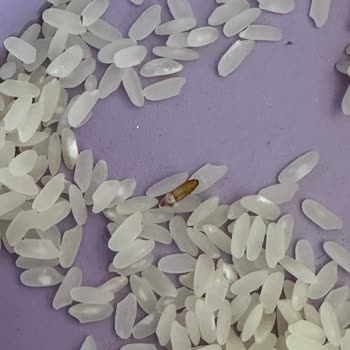 Mide Rahatsızlığı Nedeniyle Hızlı İnceleme Talebi