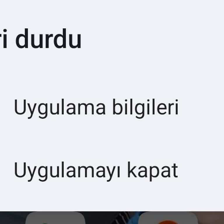 Reeder S19 Max Pro Telefonum Hızlı Şarj Almıyor Ve Galeri Çöküyor, Değişim İstiyorum