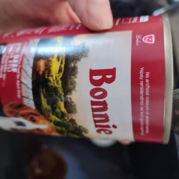 Bonnie Etli Köpek Maması Su Dolu