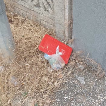 Acil: Asil Nakliyat'ın Gecikmesi, Personel Eksikliği Ve Eşya Hasarları