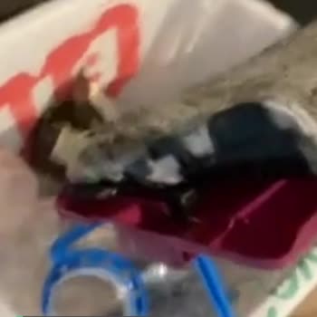 Parex Wondero Kirli Su-Temiz Su Ayırıcı Mop Yamulması