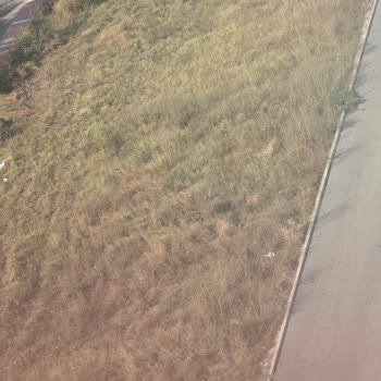 Limonluk Mahallesi'nde Belediye Arsası Kirli, Çöplerle Kaplanmış Ve Güvensiz Acilen Temizlenmeli