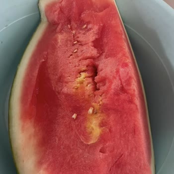 Karpuzların Bozulmuş Olması Nedeniyle Ücret İadesi Talebi