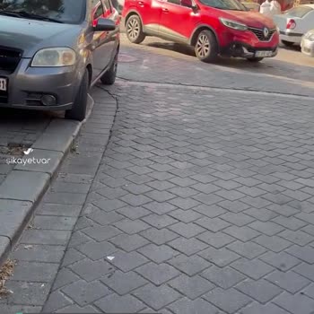 Emniyet Genel Müdürlüğü Trafik Sorunu, Park Sorunu