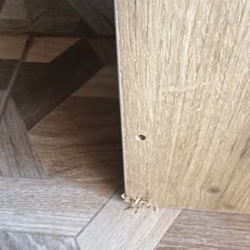 Koçtaş’tan Kırık Parçalar İçin Sürekli Bekletilen Değişim Ve İade Talebi