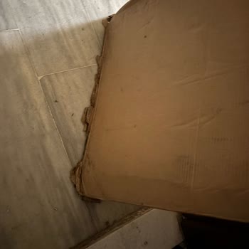 İptal Edilen Siparişim Hasarlı Bırakıldı, İade Reddedildi