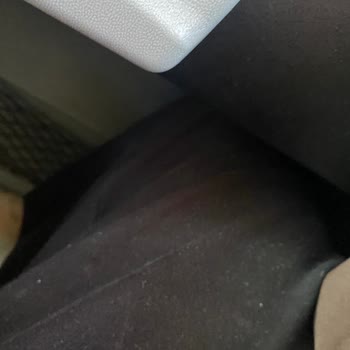 Rahat Olmayan Koltuk, Aşırı Sıcaklık Ve Değişim Reddi