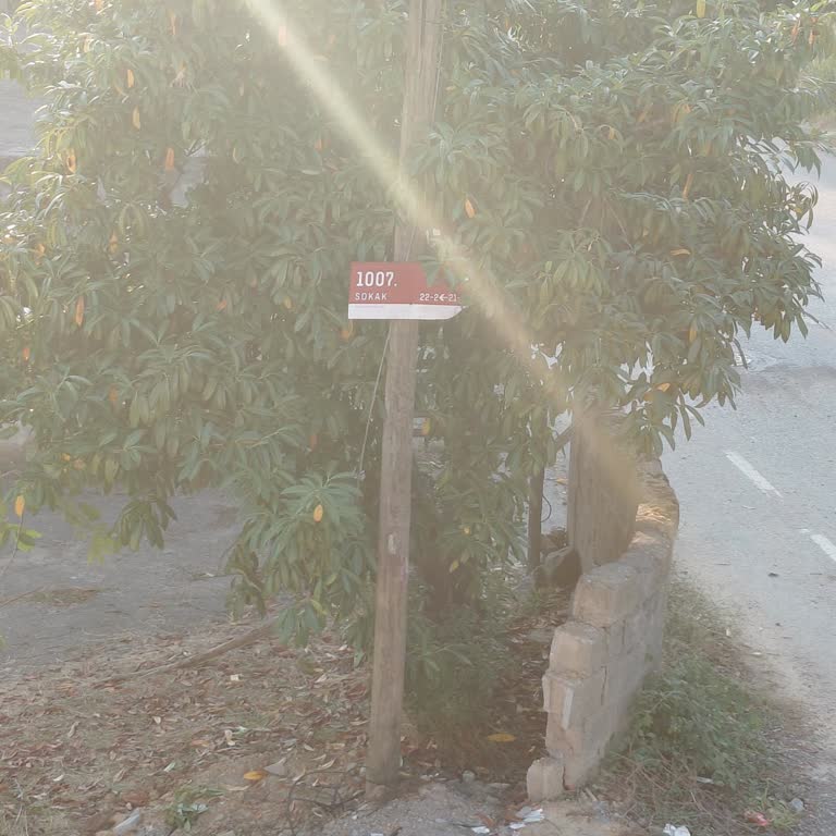 Kablolar Kesildiğinden İnternet Kesintisi Ve Müşteri Hizmetlerinden Cevap Yok