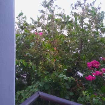 Bodrum Mira Beach Otel Odaları Reklamı Gibi Değil Ve Koku Sorunu Nedeniyle İade Talebi