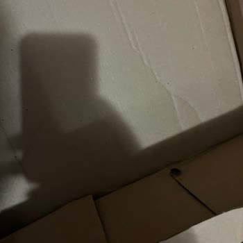 Kargomda Hamam Böceği Ve Eksik Etek: Hijyen Ve Kalite Sorunu