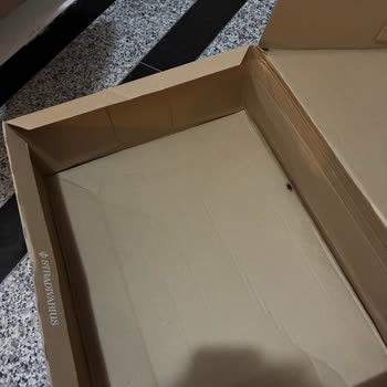 Kargomda Hamam Böceği Ve Eksik Etek: Hijyen Ve Kalite Sorunu