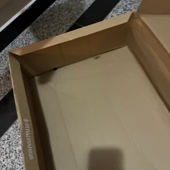 Kargomda Hamam Böceği Ve Eksik Etek: Hijyen Ve Kalite Sorunu