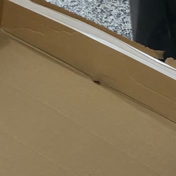 Kargomda Hamam Böceği Ve Eksik Etek: Hijyen Ve Kalite Sorunu